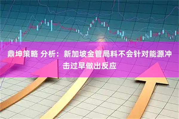 鼎坤策略 分析：新加坡金管局料不会针对能源冲击过早做出反应