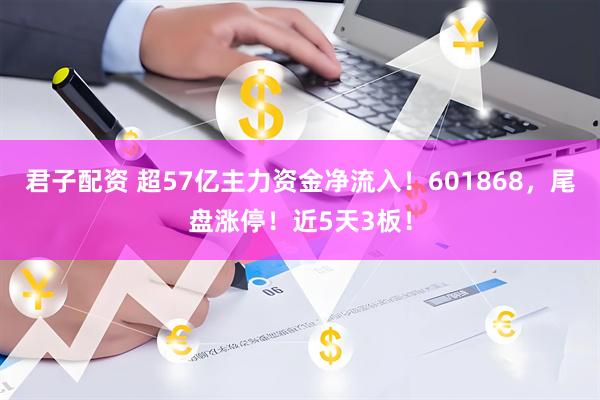 君子配资 超57亿主力资金净流入！601868，尾盘涨停！近5天3板！