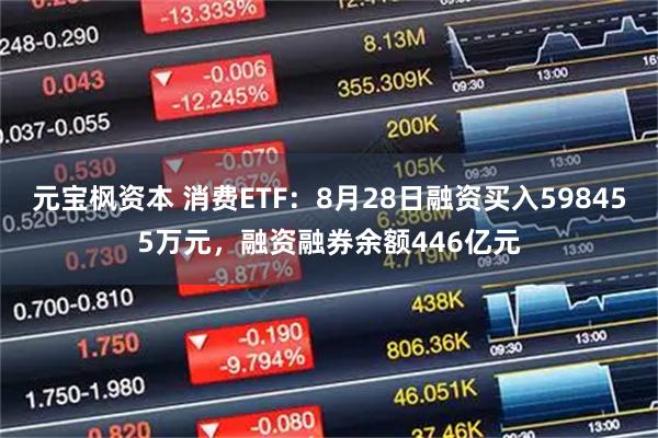 元宝枫资本 消费ETF：8月28日融资买入598455万元，融资融券余额446亿元