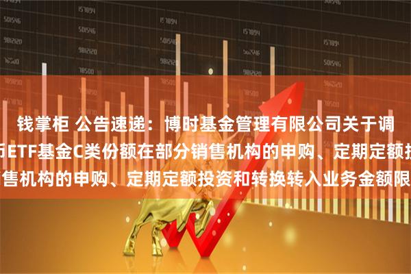 钱掌柜 公告速递:博时基金管理有限公司关于调整旗下博时保证金货币ETF基金C类份额在部分销售机构的申购、定期定额投资和转换转入业务金额限制