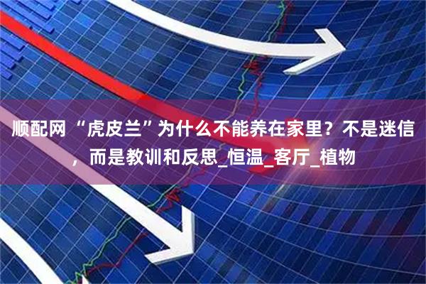 顺配网 “虎皮兰”为什么不能养在家里？不是迷信，而是教训和反思_恒温_客厅_植物