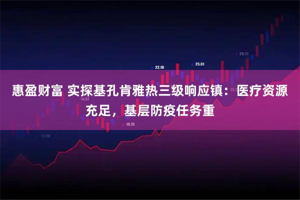 惠盈财富 实探基孔肯雅热三级响应镇：医疗资源充足，基层防疫任务重