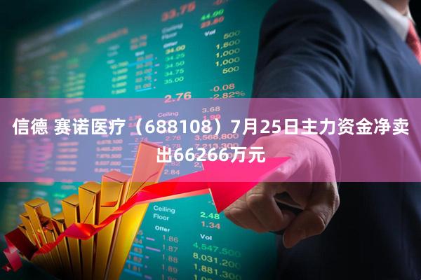 信德 赛诺医疗(688108)7月25日主力资金净卖出66266万元