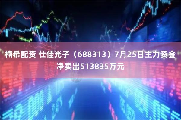 楠希配资 仕佳光子(688313)7月25日主力资金净卖出513835万元